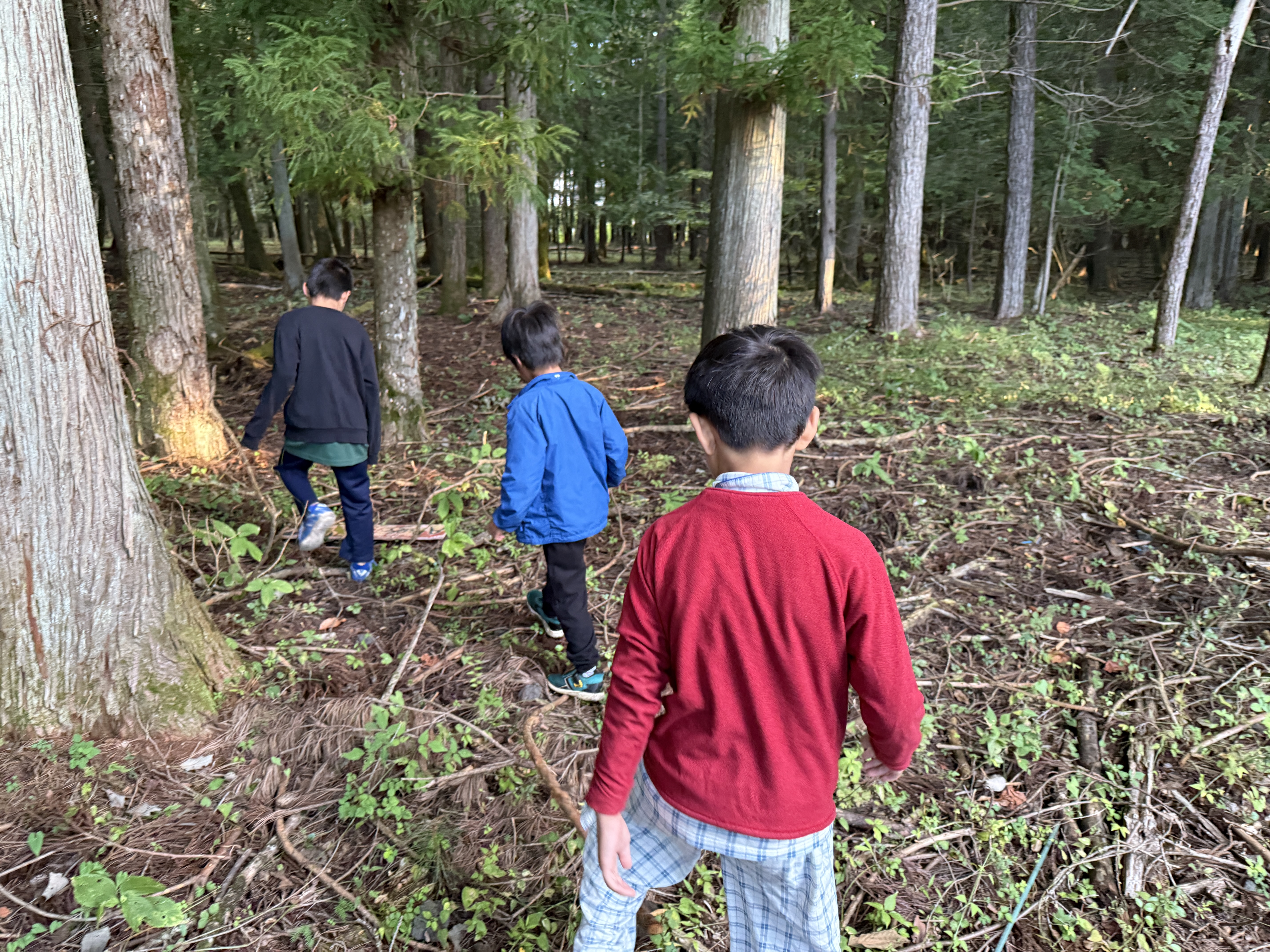 沖縄でのスノーケリング体験